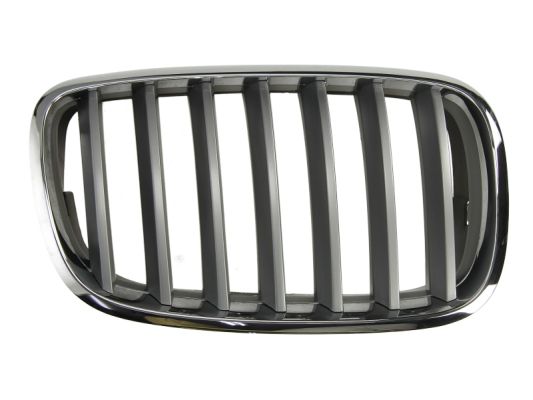 Radiator Grille (Right)  Art. 6502070096992PP