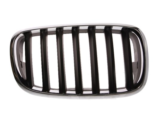 Radiator Grille (Right)  Art. 6502070096992P