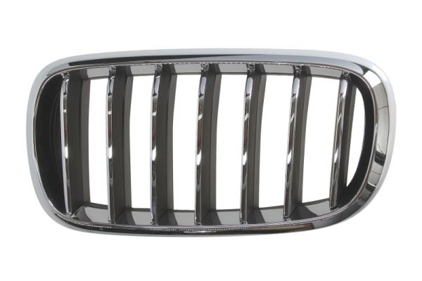 Radiator Grille  Art. 65020700969933P