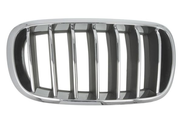 Radiator Grille  Art. 65020700969944P