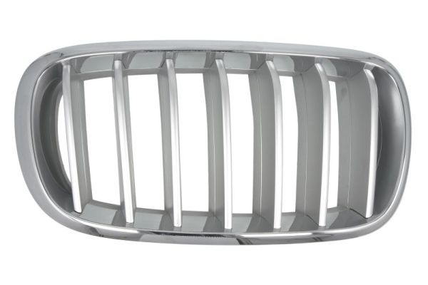 Radiator Grille  Art. 65020700969966P