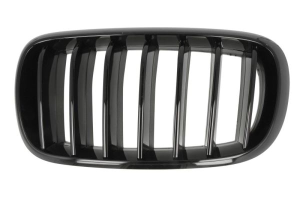 Radiator Grille  Art. 65020700969977P