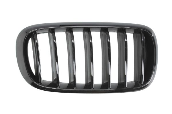 Radiator Grille  Art. 65020700969988P