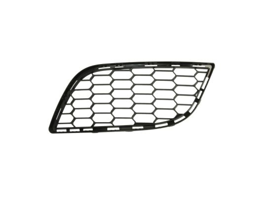 Ventilation Grilles, bumper (Forward, left)  Art. 6502070105997P