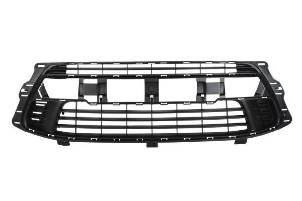 Ventilation Grilles, bumper (In front)  Art. 6502070537914Q