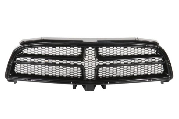 Radiator Grille  Art. 6502070932995P