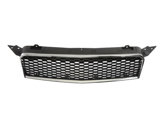 Radiator Grille (Above)  Art. 6502071135993P