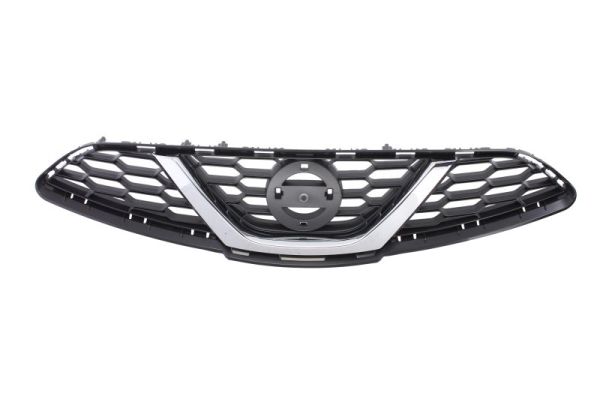 Radiator Grille  Art. 6502071610991P