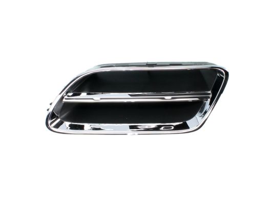 Radiator Grille (Left)  Art. 6502071668991P