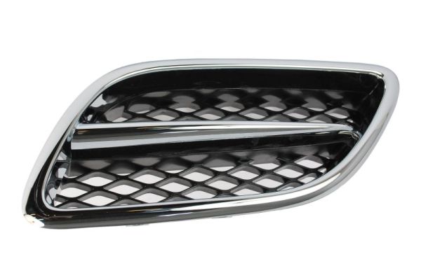 Radiator Grille (Left)  Art. 6502071668995P