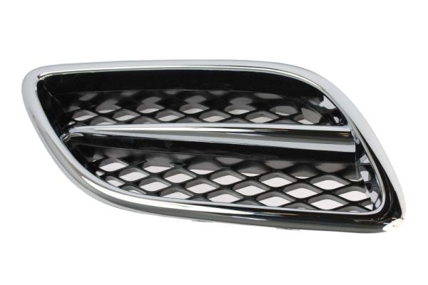 Radiator Grille (Right)  Art. 6502071668996P