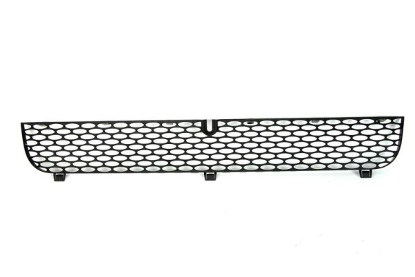 Radiator Grille (In front)  Art. 6502072509990P