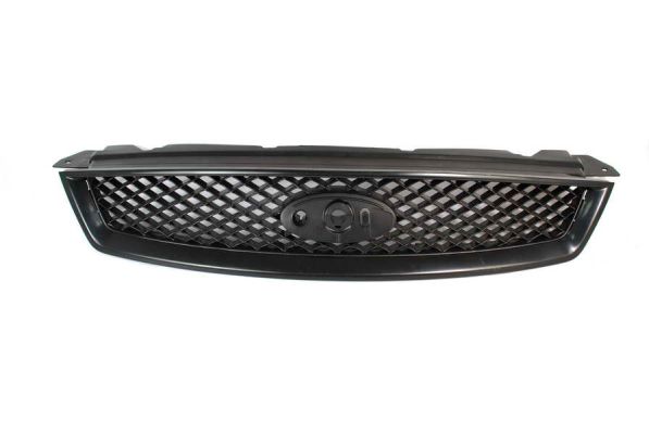 Radiator Grille (In front)  Art. 6502072533990P