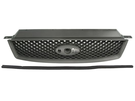 Radiator Grille (Black)  Art. 6502072534990P