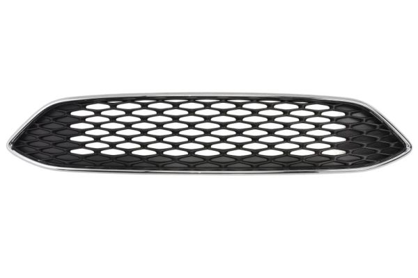 Radiator Grille  Art. 650207253699AP