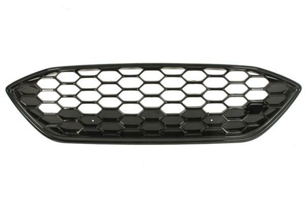 Radiator Grille  Art. 6502072537993P