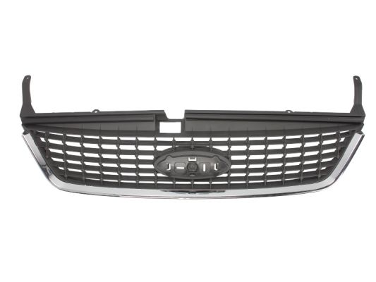 Radiator Grille (In front, in front)  Art. 6502072556992P