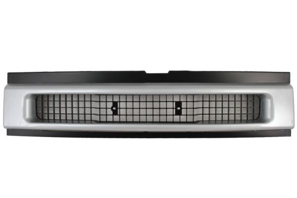 Radiator Grille (Silver)  Art. 6502073080990P