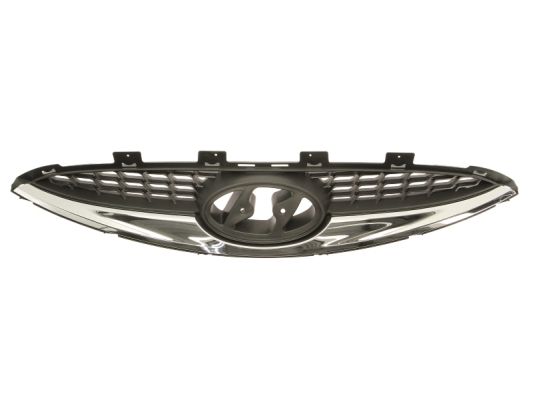 Radiator Grille (In front)  Art. 6502073129990P