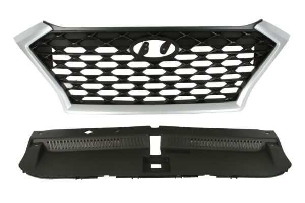 Radiator Grille  Art. 6502073178990P