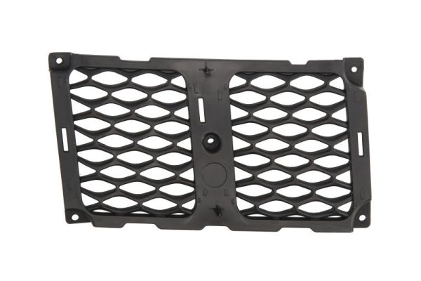 Radiator Grille  Art. 6502073207994P