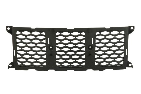 Radiator Grille  Art. 6502073207995P