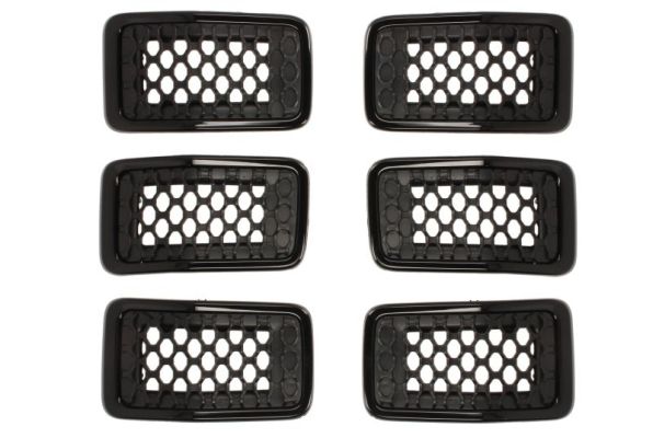 Radiator Grille  Art. 6502073208993P