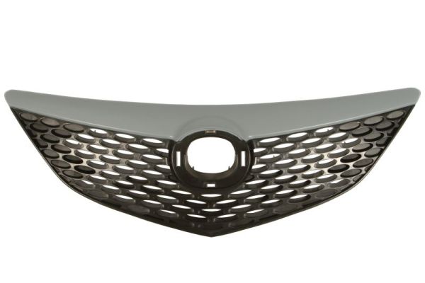 Radiator Grille  Art. 6502073476992Q