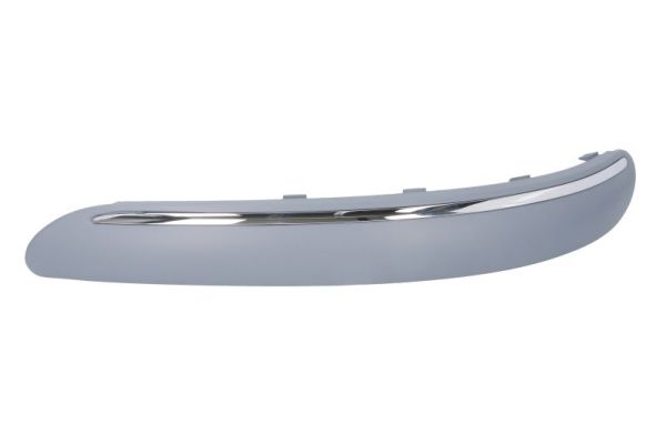 Trim/Protection Strip, bumper  Art. 6502073505921Q