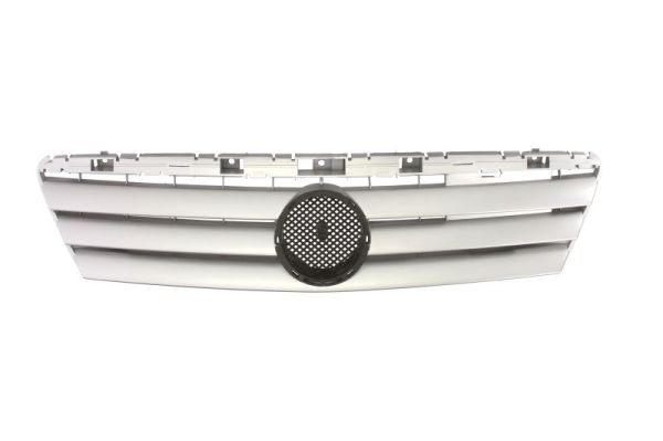 Radiator Grille (In front)  Art. 6502073505991P