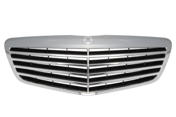 Radiator Grille  Art. 6502073514992P