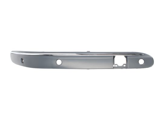 Trim/Protection Strip, bumper (Forward, right)  Art. 6502073515924P