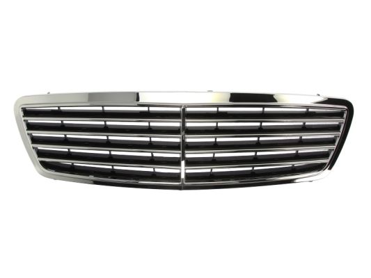 Radiator Grille (In front)  Art. 6502073515991P