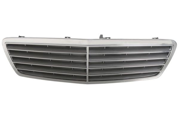 Radiator Grille (In front)  Art. 6502073515992P