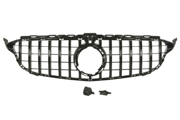 Radiator Grille  Art. 6502073521991PP