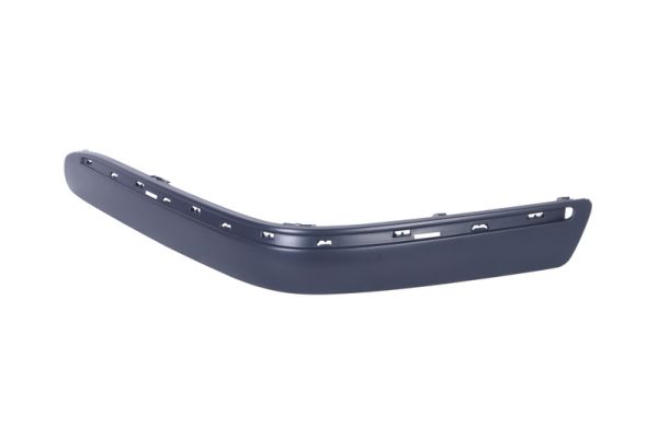 Trim/Protection Strip, bumper (Forward, left)  Art. 6502073527925P