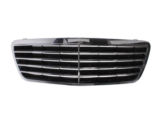 Radiator Grille (Outer)  Art. 6502073527994P