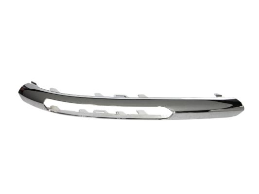 Trim/Protection Strip, bumper (Forward, left)  Art. 6502073529923P