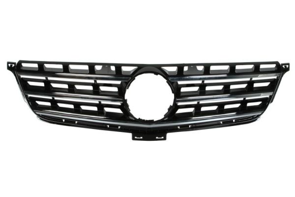 Radiator Grille  Art. 6502073539990P