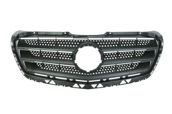 Radiator Grille  Art. 6502073548990P