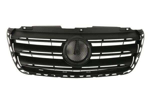 Radiator Grille  Art. 6502073549990P