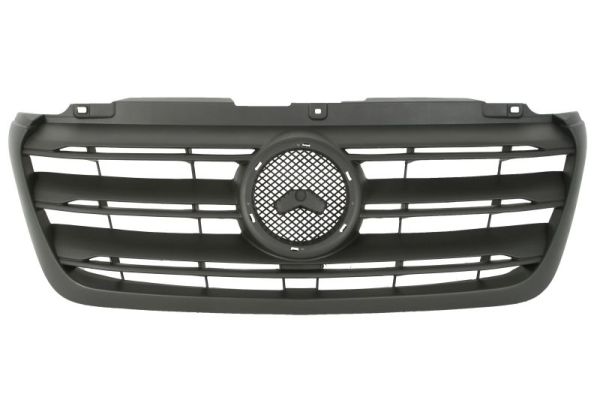 Radiator Grille  Art. 6502073549993P