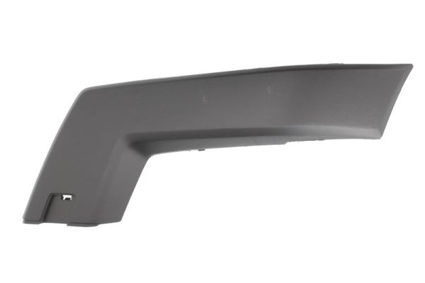 Trim/Protection Strip, bumper  Art. 6502073580921P