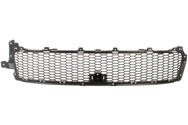 Ventilation Grilles, bumper (In the middle)  Art. 6502073750910P