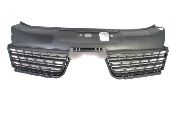 Radiator Grille (In front)  Art. 6502076032993P