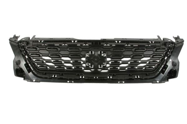 Radiator Grille  Art. 6502076623990Q