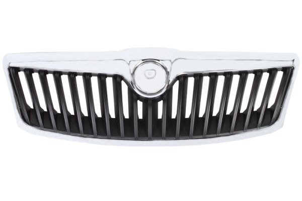 Radiator Grille (In front)  Art. 6502077521991Q