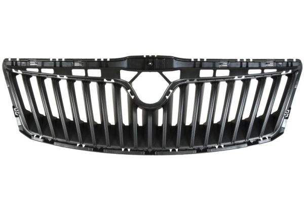 Radiator Grille (Chrome/black)  Art. 6502077521995Q