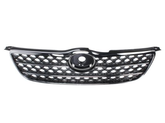 Radiator Grille (In front)  Art. 6502078116993P