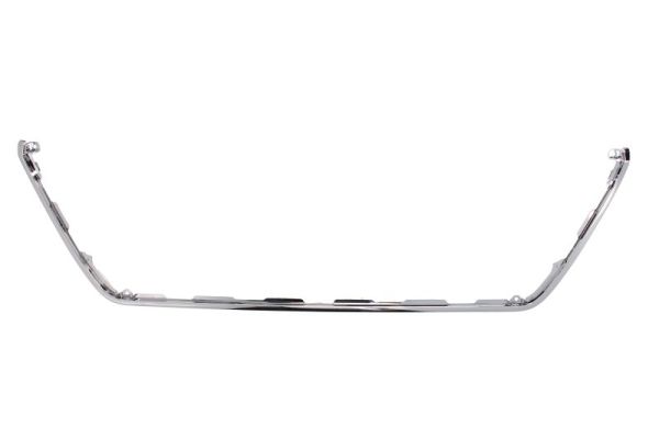 Trim/Protection Strip, bumper (In front)  Art. 6502078118913P